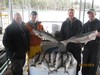(04/23/2018) - Nice Striped Bass